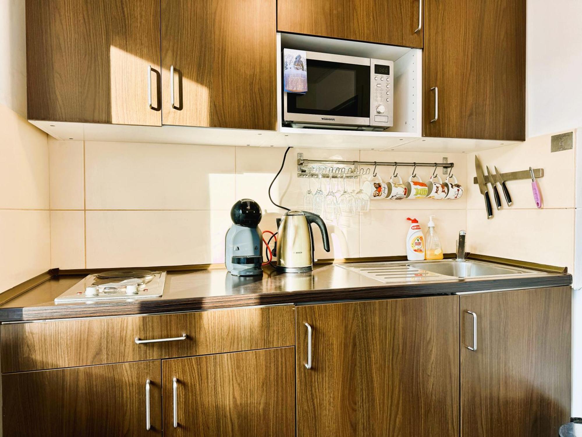 Apartment In The City Center Druskininkai Buitenkant foto